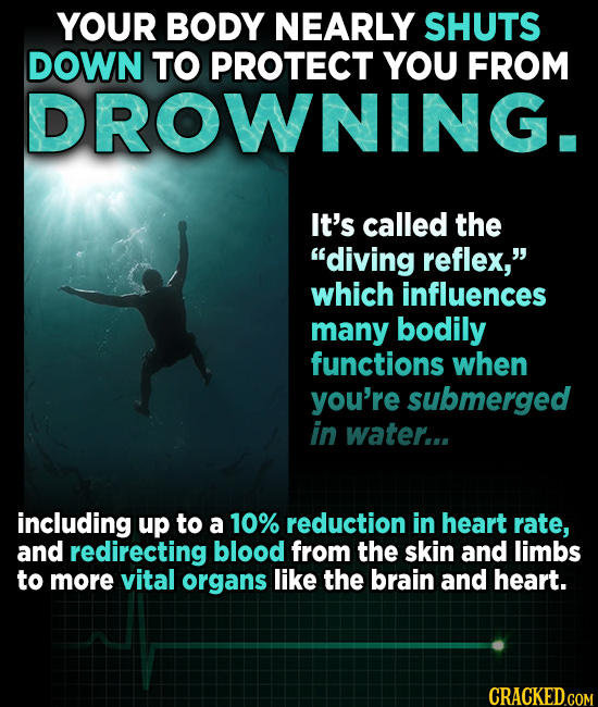 YOUR BODY NEARLY SHUTS DOWN TO PROTECT YOU FROM DROWNING. It's called the diving reflex, which influences many bodily functions when you're submerge
