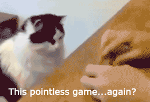 16 Animals Doing Things (That Shouldn't Be Possible)