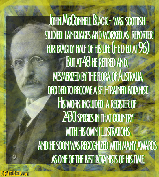 JOHN MCCONNLI BIACK- WAS SCOTIISH STUDIED LANGUAGES AND WORKED AS REPORTER FOR EXACTLY HALF OF HS UFE (HE DIED AT 96) BUT AT 48 HE RETIRED AND, MBMERI