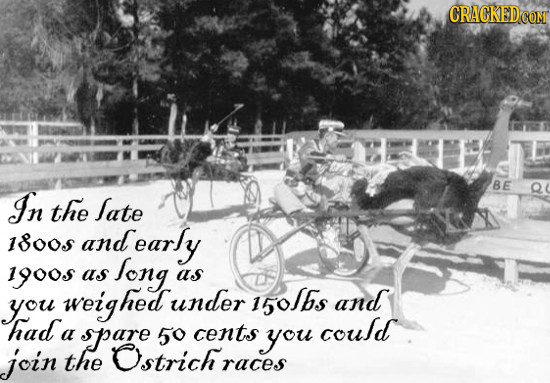 CRACKEDCO BE In Q the Sate 1o0 and early 1900 long as as weighed under 15o6s and you had could a spare 50 cents you join the Ostrich races