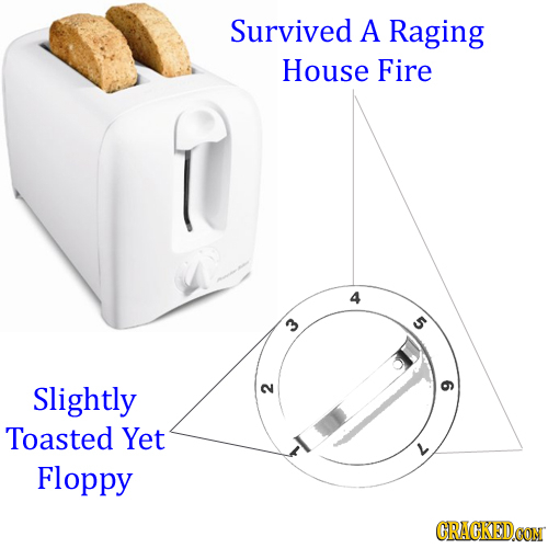Survived A Raging House Fire 4 5 Slightly 2 9 Toasted Yet Floppy CRACKEDCON