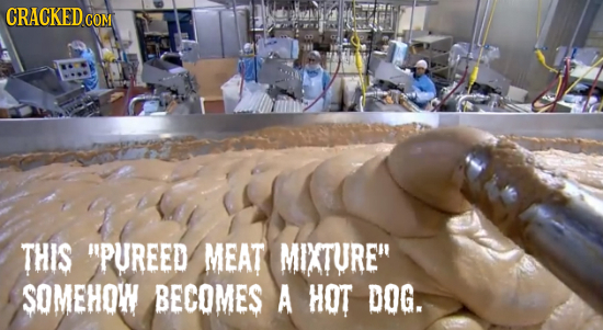 CRACKEDo COM THIS PUREED MEAT MIXTURE SOMEHQW BECOMES A HOT DOG.