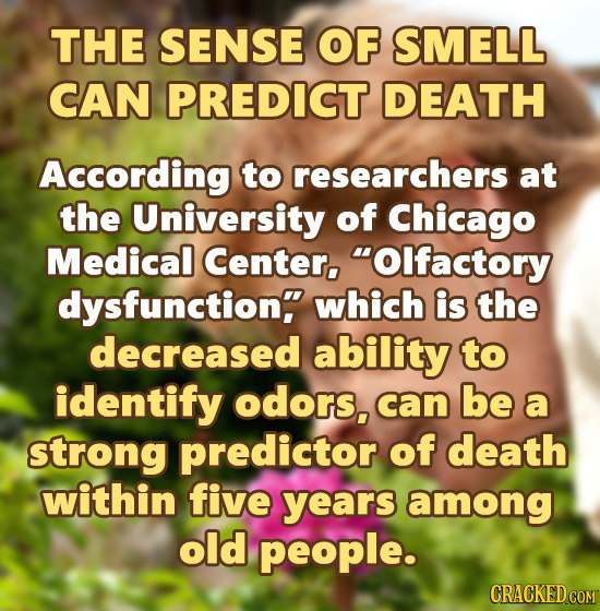 THE SENSE OF SMELL CAN PREDICT DEATH According to researchers at the University of Chicago Medical Center, Olfactory dysfunction which is the decrea