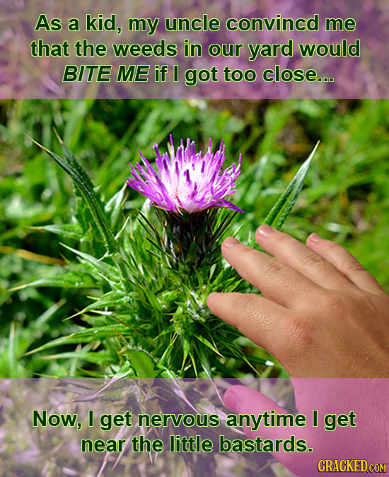 As a kid, my uncle convincd me that the weeds in our yard would BITE ME if I got too close... Now, I get nervous anytime get near the little bastards.