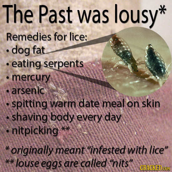 The Past was lousy* Remedies for lice: dog fat eating serpents mercury arsenic. spitting warm date meal on skin shaving body every day nitpicking *ori
