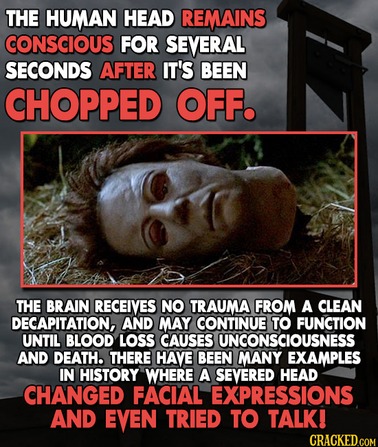 THE HUMAN HEAD REMAINS CONSCIOUS FOR SEVERAL SECONDS AFTER IT'S BEEN CHOPPED OFF. THE BRAIN RECEIVES NO TRAUMA FROM A CLEAN DECAPITATION, AND MAY CONT