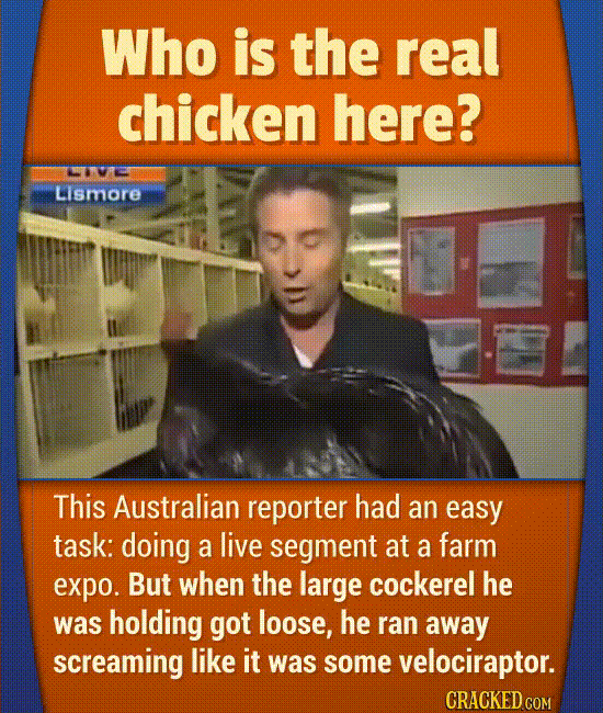 Hilarious Moments That Actually Happened On Live TV