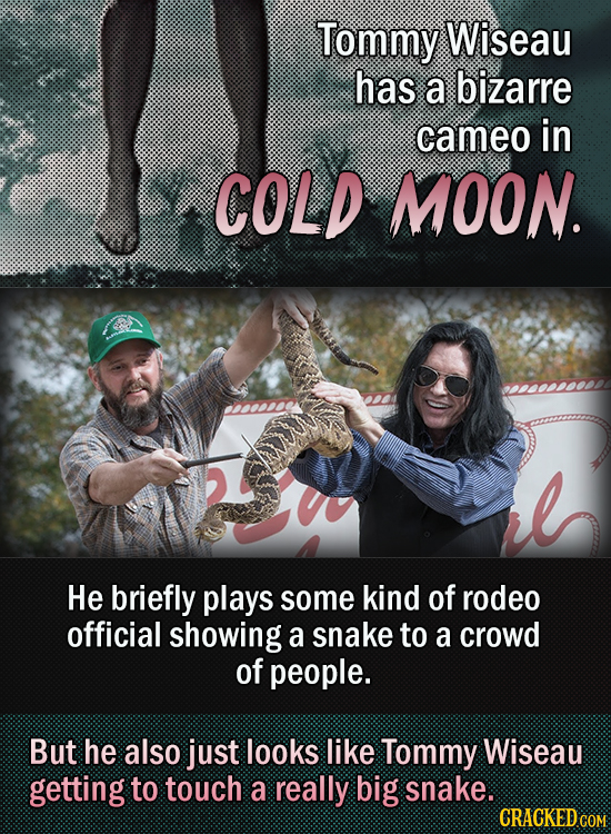 And Now, 15 Of Our Favorite Cameos In Horror Movies