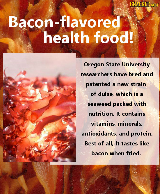 CRACKED COM Bacon-flavored health food! Oregon State University researchers have bred and patented a new strain of dulse, which is a seaweed packed wi