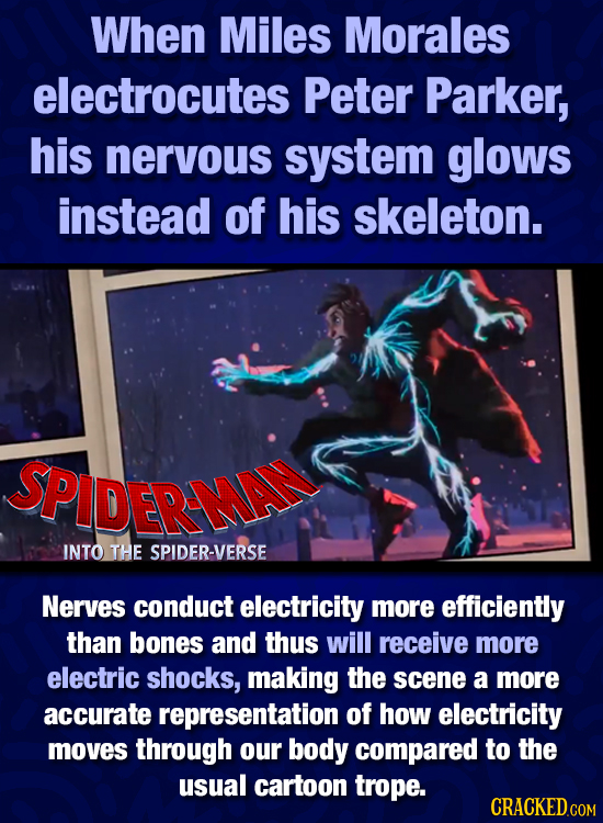 When Miles Morales electrocutes Peter Parker, his nervous system glows instead of his skeleton. SSPIDERMA INTO THE SPIDER-VERSE Nerves conduct electri