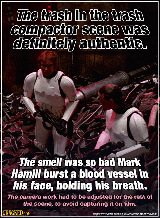 The trash in the trash compactor scene was deftinitely authentic. The smell was So bad Mark Hamill burst a blood vessel in his face, holding his breat
