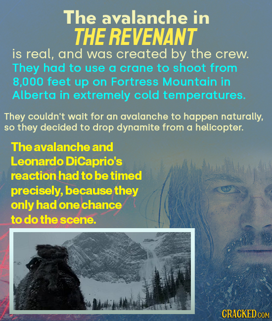 The avalanche in THE REVENANT is real, and was created by the crew. They had to use a crane to shoot from 8,000 feet up on Fortress Mountain in Albert