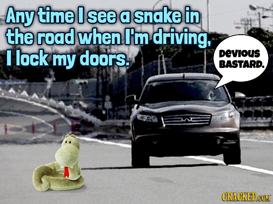 Any time 0 see a snake in the road when I'm driving, lock my doors. DEVIOUS BASTARD.