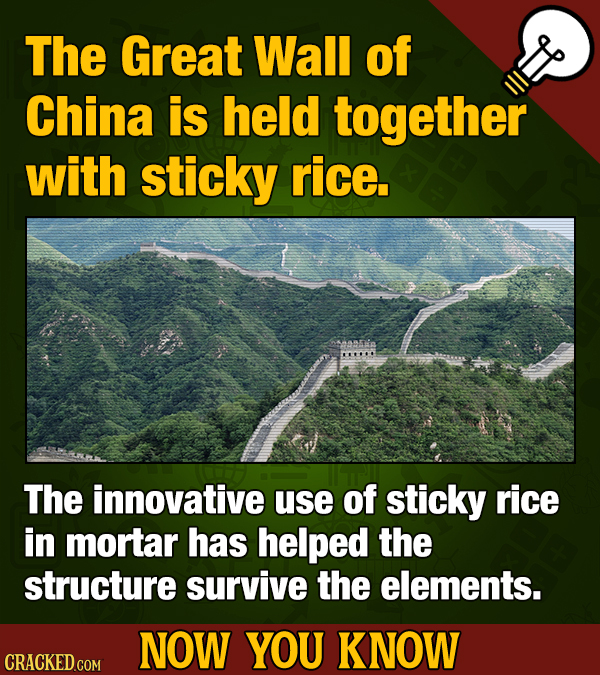 17 Tasty Now-You-Know Food Facts