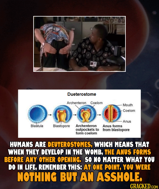 14 Fascinating, Super-Disturbing Facts About The Human Body