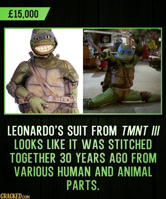 15,000 LEONARDO'S SUIT FROM TMNT IIL LOOKS LIKE IT WAS STITCHED TOGETHER 30 YEARS AGO FROM VARIOUS HUMAN AND ANIMAL PARTS. CRACKED.COM