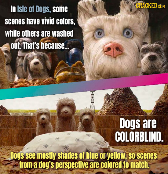 In Isle Of Dogs, some scenes have vivid colors, while others are washed out. That's because... Dogs are COLORBLIND. Dogs see mostly shades Of blue or