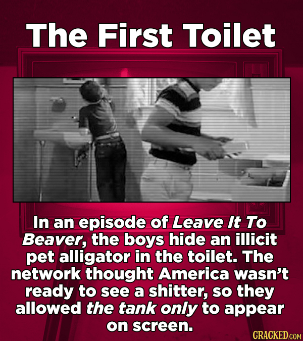 The First Toilet In an episode of Leave It To Beaver, the boys hide an illicit pet alligator in the toilet. The network thought America wasn't ready t