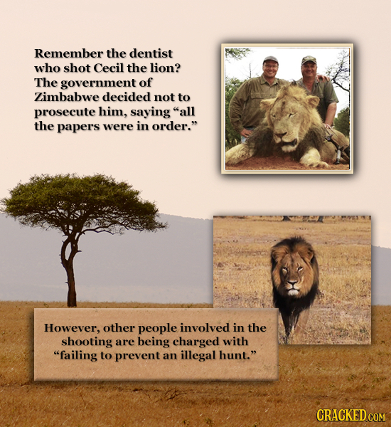 Remember the dentist who shot Cecil the lion? The government of Zimbabwe decided not to prosecute him, saying all the papers were in order. However,