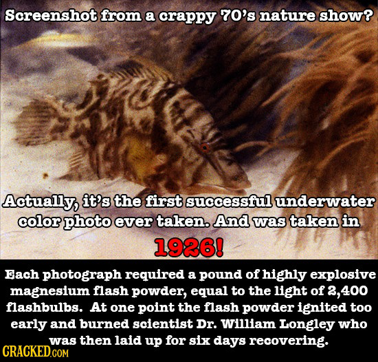 Screenshot from a crappy 70's nature show? Actually, it's the first successful underwater color photo ever taken. And was taken in 1926! Each photogra