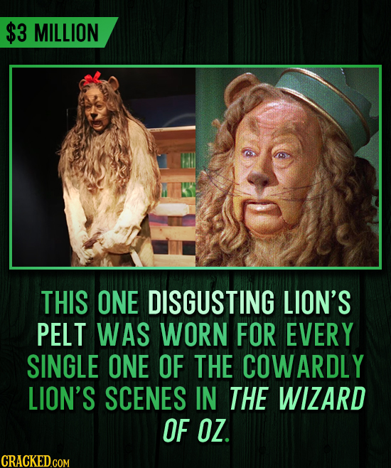 $3 MILLION THIS ONE DISGUSTING LION'S PELT WAS WORN FOR EVERY SINGLE ONE OF THE COWARDLY LION'S SCENES IN THE WIZARD OF OZ.