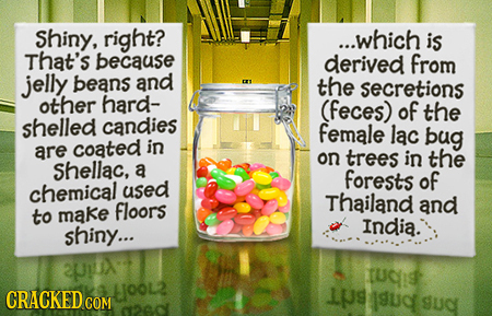 Shiny, right? ...which is That's because derived from jelly beans and tHe secretions other hard- (feces) of the shelled candies female lac bug are coa