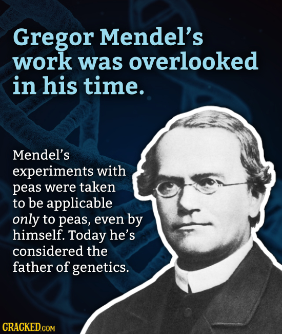 Gregor Mendel's work was overlooked in his time. Mendel's experiments with peas were taken to be applicable only to peas, even by himself. Today he's