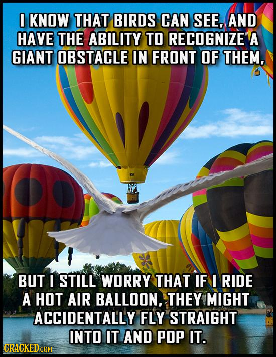 0 KNOW THAT BIRDS CAN SEE, AND HAVE THE ABILITY TO RECOGNIZE A GIANT OBSTACLE IN FRONT OF THEM, BUT STILL WORRY THAT IF I RIDE A HOT AIR BALLOON, THE