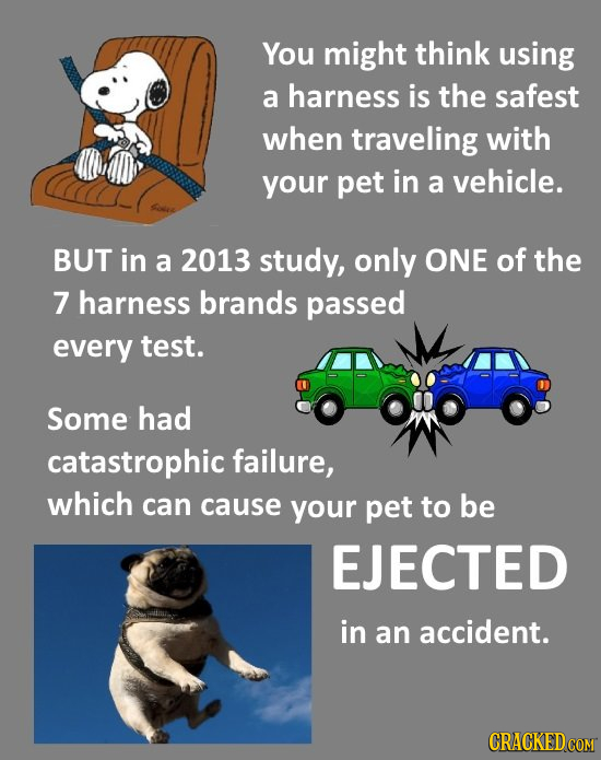 You might think using a harness is the safest when traveling with your pet in a vehicle. BUT in a 2013 study, only ONE of the 7 harness brands passed