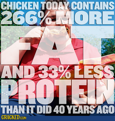 CHICKEN TODAY CONTAINS 266% MORE AND 33% LESS PROTEIN THAN IT DID 40 YEARS AGO CRACKED COM