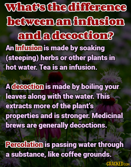 What's the difference between an infusion and a decoction? An infusion is made by soaking (steeping) herbs or other plants in hot water. Tea is an inf