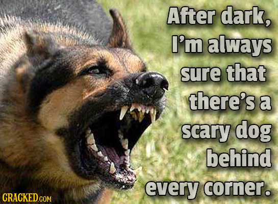 After dark, I'm always sure that there's a scary dog behind every corner. 