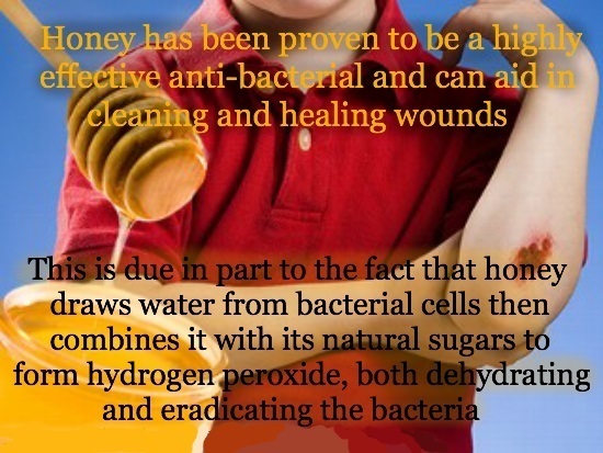 Honey has been proven to be a highly effective anti-bactenal and can aid in cleaning and healing wounds This is due in part to the fact that honey dra