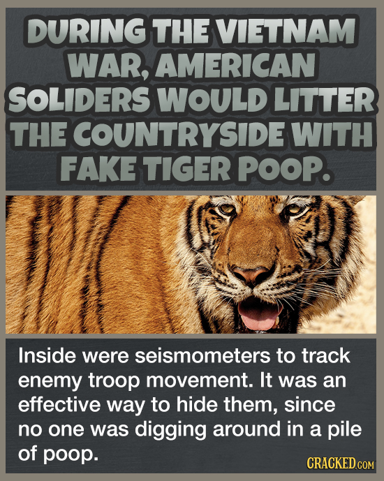 DURING THE VIETNAM WAR, AMERICAN SOLIDERS WOULD LITTER THE ECOUNTRYSIDE WITH FAKE TIGER POOP. Inside were seismometers to track enemy troop movement.