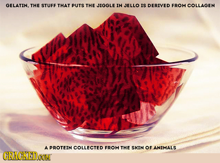 GELATIN. THE STUFE THAT PUTS THE JIGGLE IN JELLO IS DERIVED FROM COLLAGEN A PROTEIN COLLECTED FROM THE SKIN OF ANIMALS CRACKED