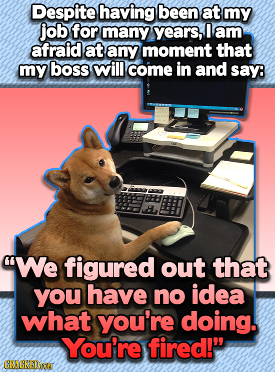 Despite having been at my job for many years, I am afraid at any moment that my boss will come in and say: We figured out that you have no idea what