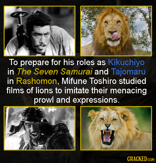 To prepare for his roles as Kikuchiyo in The Seven Samurai and Tajomaru in Rashomon, Mifune Toshiro studied films of lions to imitate their menacing p
