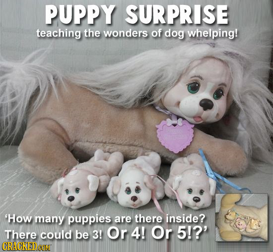 PUPPY SURPRISE teaching the wonders of dog whelping! 'How many puppies are there inside? There could be 3! Or 4! Or 5!?' CRACKEDCONT