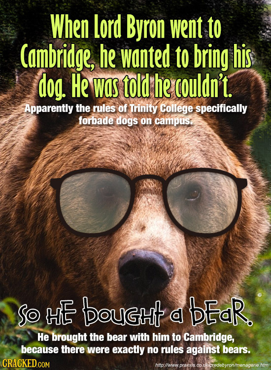 When Lord Byron went to Cambridge, he wanted to bring his dog He was told he couldn't. Apparently the rules of Trinity College specifically forbade do