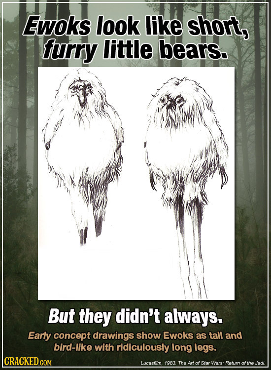 Ewoks look like short, furry little bears. But they didn't always. Early concept drawings show Ewoks as tall and bird-like with ridiculously long legs
