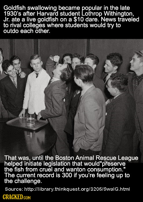 Goldfish swallowing became popular in the late 1930's after Harvard student Lothrop Withington, Jr. ate a live goldfish on a $10 dare. News traveled t