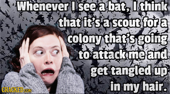 Whenever I see a bat, D think that it's a scout for a colony that's going to attack me and get tangled up in my hair. CRACKED