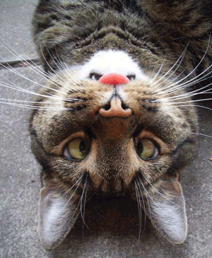 25 Things You'll Never See the Same Way Again