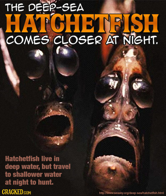 24 Terrifying Real-World Monsters You Won't Believe Exist