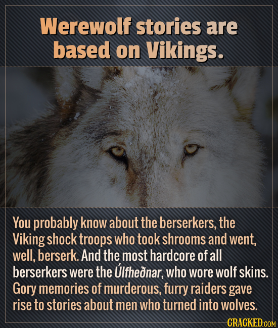 Werewolf stories are based on Vikings. You probably know about the berserkers, the Viking shock troops who took shrooms and went, well, berserk. And t