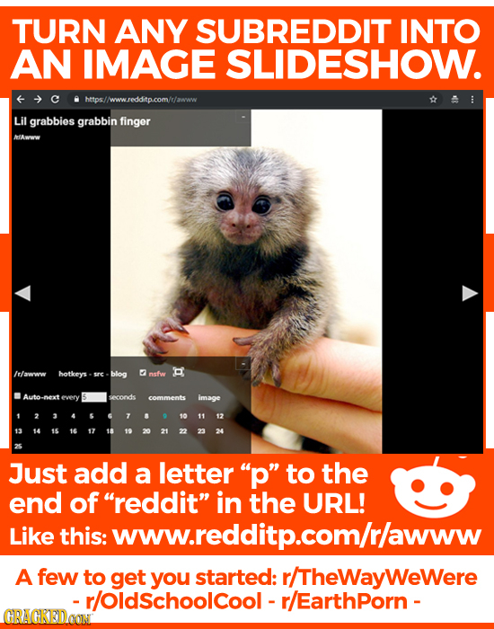 TURN ANY SUBREDDIT INTO AN IMAGE SLIDESHOW. https//www.redditp.com/r/awww Lil grabbies grabbin finger MAvoow /rawww hotkeys sre blog nsfw Auto every s