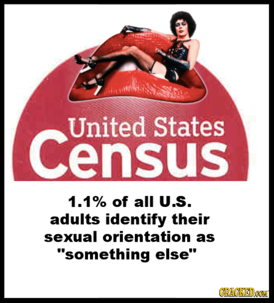 Census United States 1.1% of all U.S. adults identify their sexual orientation as something else CRACKEDCON