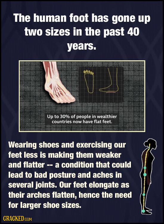 The human foot has gone up two sizes in the past 40 years. Up to 30% of people in wealthier countries now have flat feet. Wearing shoes and exercising