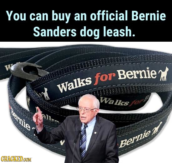 You can buy an official Bernie Sanders dog leash. W for Bernie Walks WaUrshory Bernie CRACKEDOON