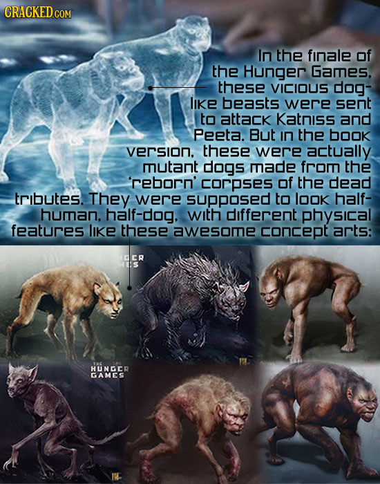 CRACKED COM In the finale of the Hunger Games. these VICIOUS dog- IIKE beasts were sent to attack Katniss and Peeta. But In the book verSION. these we